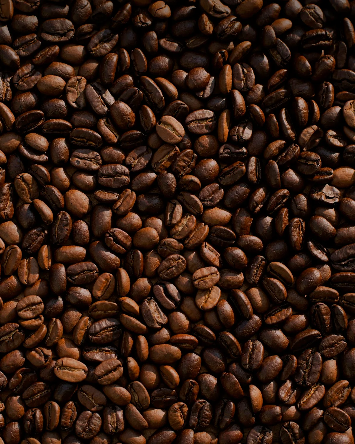 Close-up of rich brown roasted whole coffee beans
